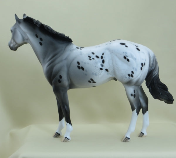 WALSH - OOAK Appaloosa Stock Horse 3/15