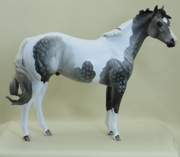 CLANCY - OOAK Star Dapple Gray Paint Stock 3/15