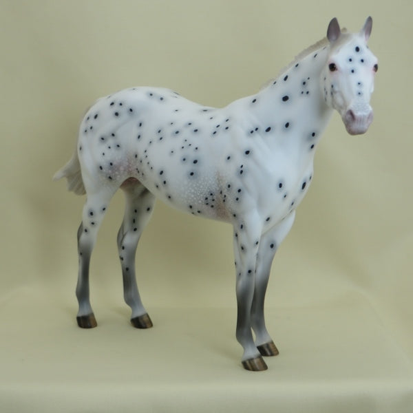 PEBBLE BEACH - OOAK Leopard Appaloosa Ratty Mane Stock Horse 3/15