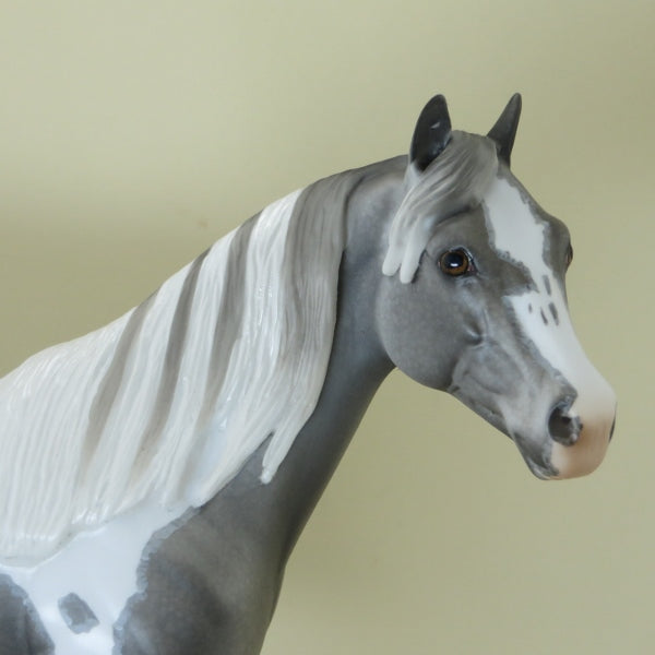 CHESS - OOAK Gray Tobiano Paint with Mappling - 4/15
