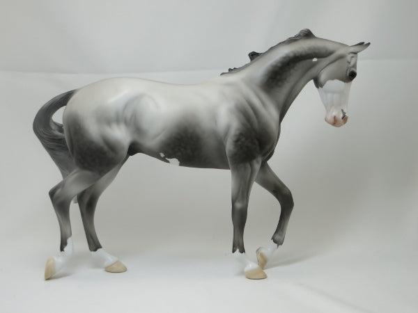 DINK (DOUBLE INCOME NO KIDS) - Dapple Gray Pinto Thoroughbred LE4 2/15