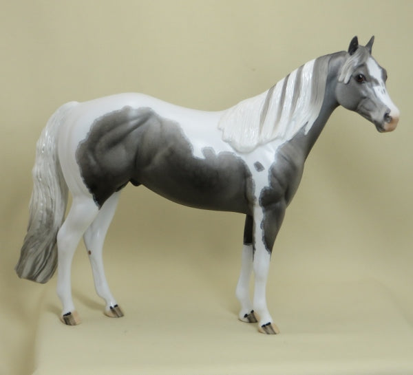 CHESS - OOAK Gray Tobiano Paint with Mappling - 4/15
