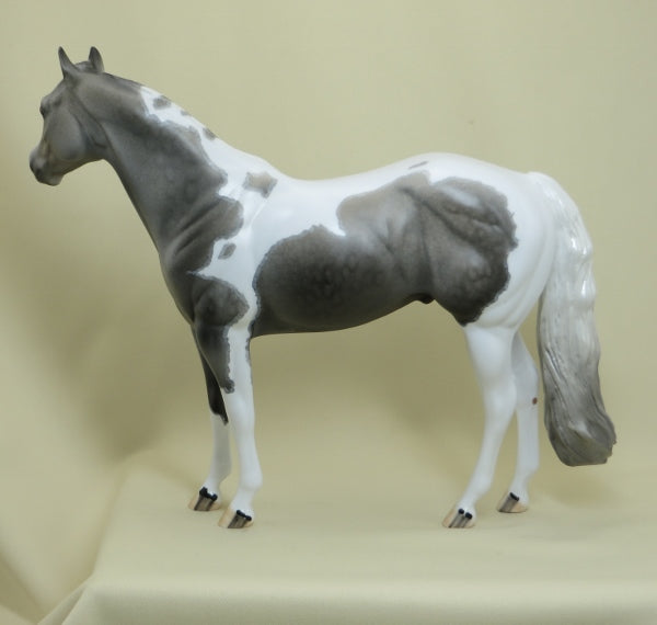 CHESS - OOAK Gray Tobiano Paint with Mappling - 4/15