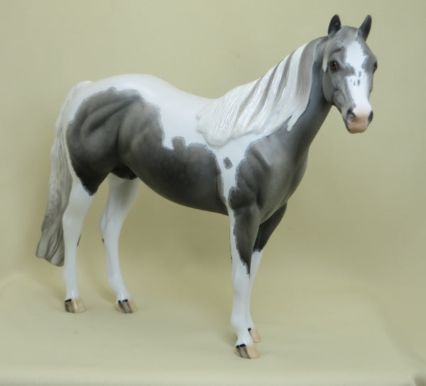 CHESS - OOAK Gray Tobiano Paint with Mappling - 4/15