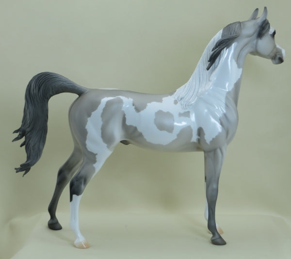 O' MURPHY- OOAK Sooty Palomino Roaned Arabian 3/15