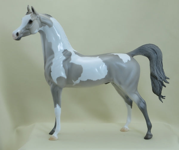 O' MURPHY- OOAK Sooty Palomino Roaned Arabian 3/15