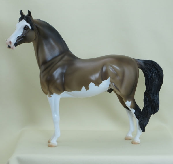 PUDDLES - OOAK Dun Morgan Pinto Model Horse - 3/15