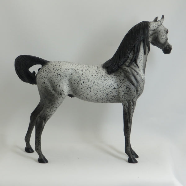 MOTHER MAY I - OOAK Dark Fleabit Arabian 5/15