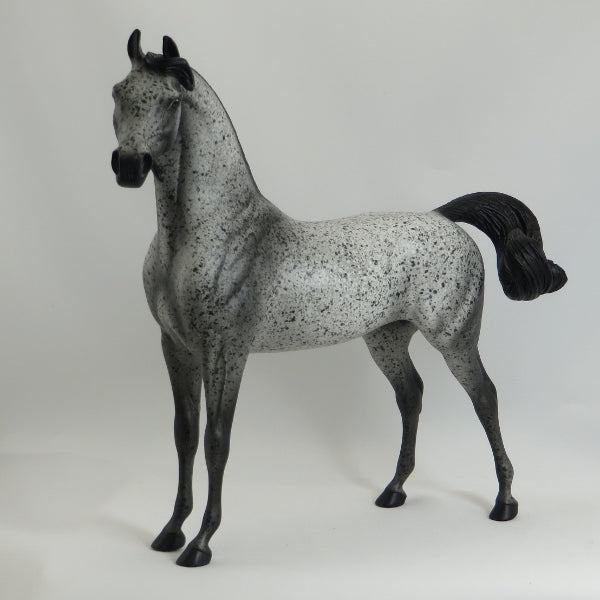 MOTHER MAY I - OOAK Dark Fleabit Arabian 5/15