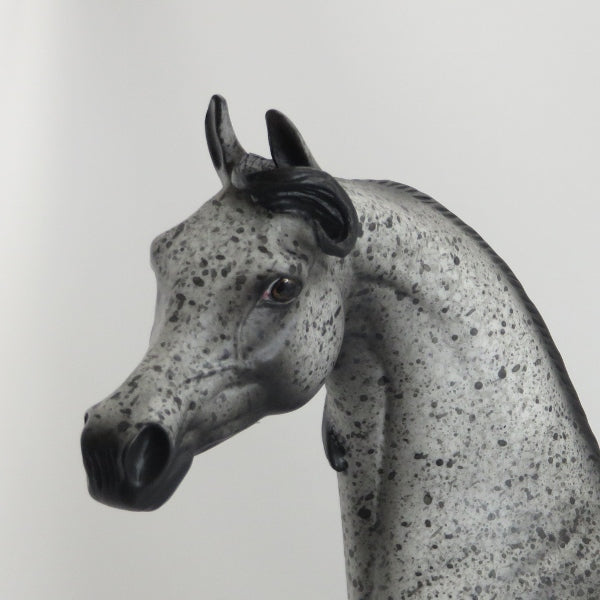 MOTHER MAY I - OOAK Dark Fleabit Arabian 5/15