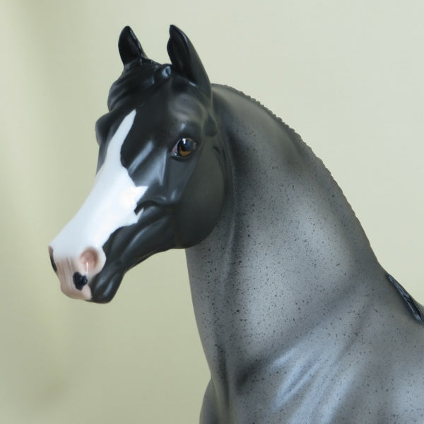 OREO SIZZLE - OOAK Blue Roan Morgan Model Horse - 4/15