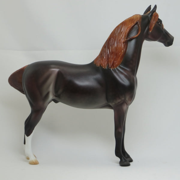 BIO ("BRING IT ON") - OOAK Mulberry Gray Dapple Morgan - 2/15