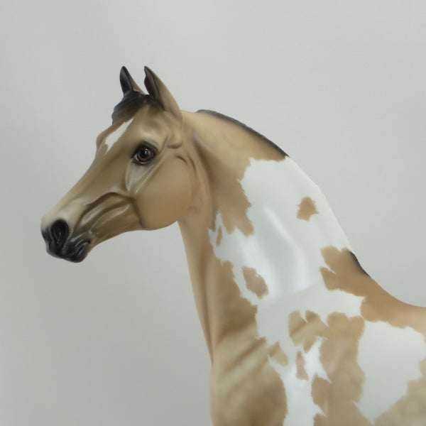 ESSEX - OOAK Dapple Buckskin Pinto Morgan with Flowers by Sheryl Leisure 5/15