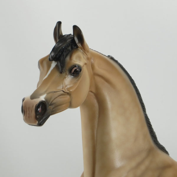 END OF DAY - OOAK Dapple Buckskin Mare Arabian Horse - 5/15