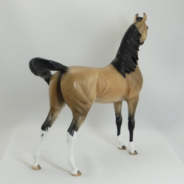 END OF DAY - OOAK Dapple Buckskin Mare Arabian Horse - 5/15