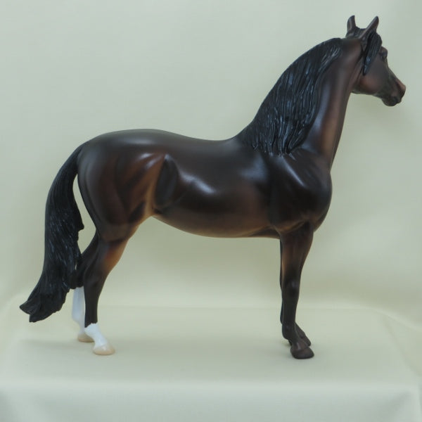 DEAR VIENNA - LE4 Dapple Seal Bay Morgan Model Horse - 3/15