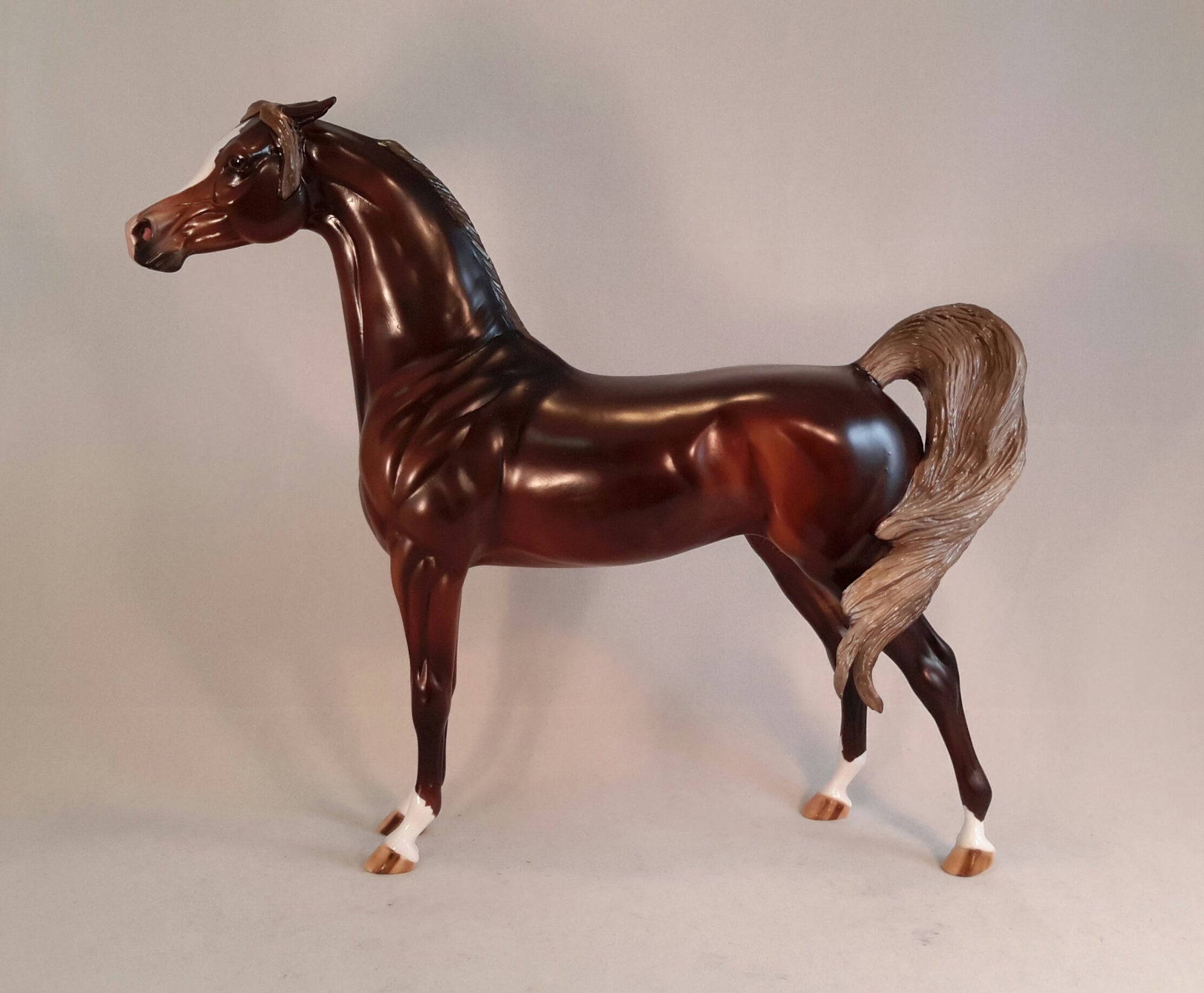 IN A WORLD OF HER OWN - Chestnut Arabian