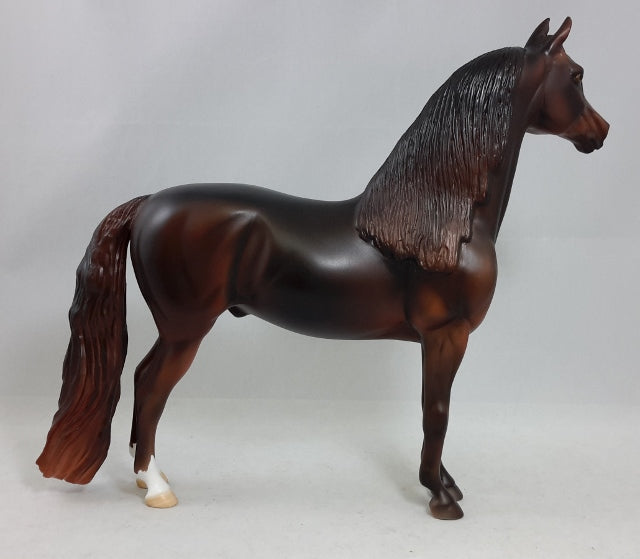 EL DORDADO - Brown Morgan Horse