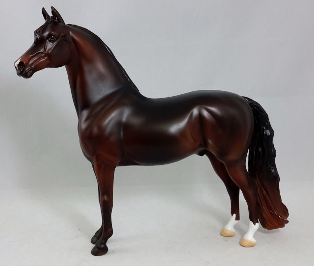EL DORDADO - Brown Morgan Horse