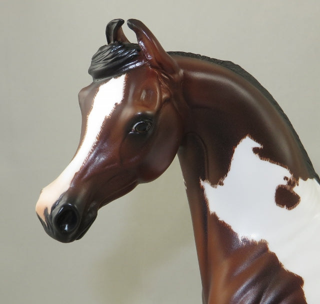 JUNGLE JUICE - Marwari Model Horse by Sheila Bishop