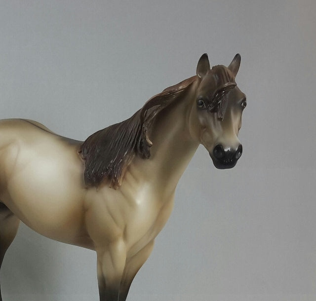 RUM SWIZZLE - Dun Stock Horse Sculpture by Sheila Bishop