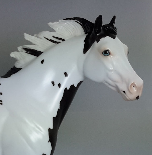 TEACHER'S PET - Overo Paint Stock Horse