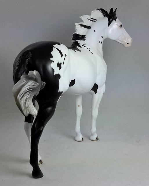 TEACHER'S PET - Overo Paint Stock Horse
