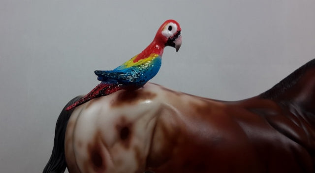 BAK PAK - OOAK Weanling with Parrot