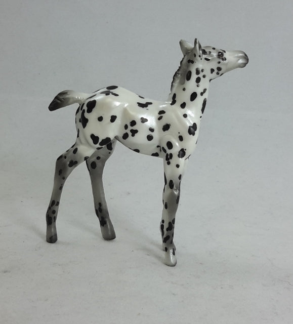 PTA PLAY THING - OOAK Appaloosa Model Horse - Foal Chip