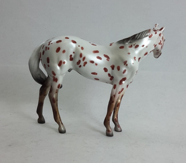MUSIC MEISTER - OOAK Leopard Appaloosa Stock Chip