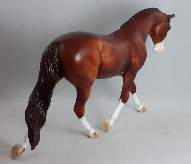 LUNCH BUNNIE - Chestnut Sabino Palouse