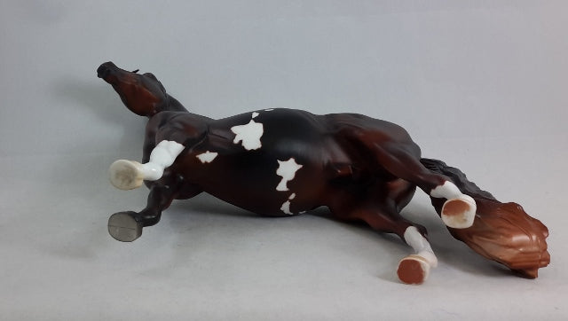 LAST GETAWAY - Extreme Custom Morgan Horse