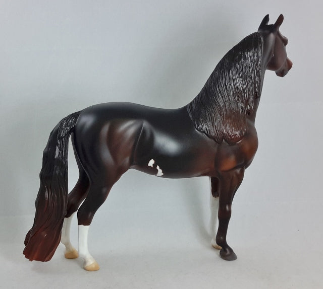 LAST GETAWAY - Extreme Custom Morgan Horse