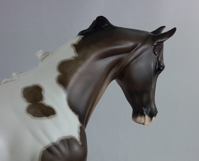 JAZZ HANDS - OOAK Thoroughbred Pinto by D'Arry Jone Frank