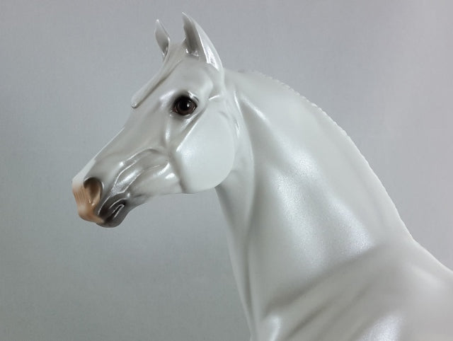 TOBIAS - 2014 Lippizzan Morgan Model Horse