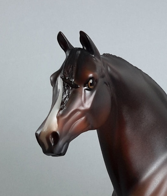 LAST GETAWAY - Extreme Custom Morgan Horse