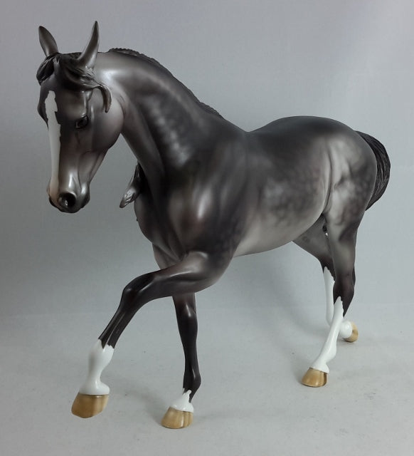 JUSTICE - Dapple Gray Thoroughbred