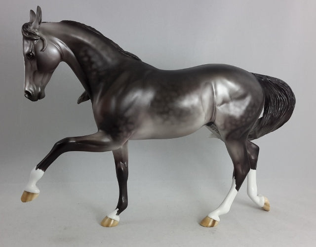 JUSTICE - Dapple Gray Thoroughbred