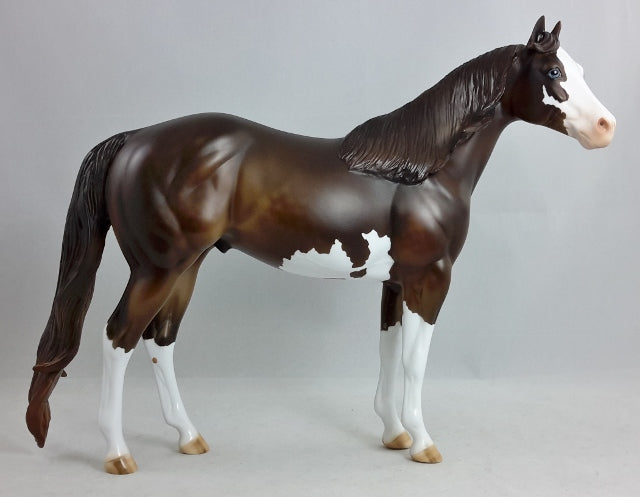 FREE "to Be Me" - Chestnut Overo Stock Horse