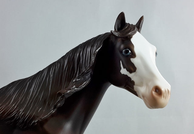 FREE "to Be Me" - Chestnut Overo Stock Horse