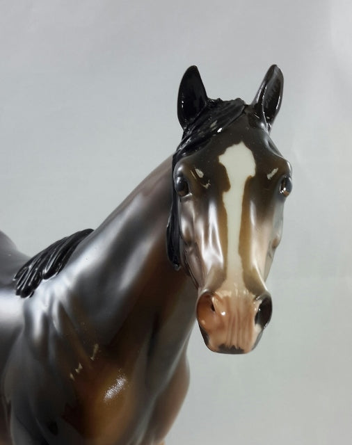HARKER - OOAK Seal Bay Stock Horse