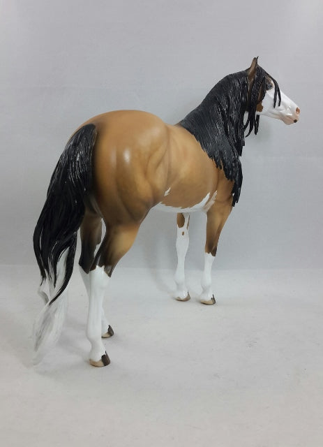 HARISSA - OOAK BUCKSKIN SPLASH OVERO STOCK HORSE