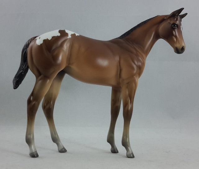 THYME - Baby Bay Appaloosa Weanling Model Horse