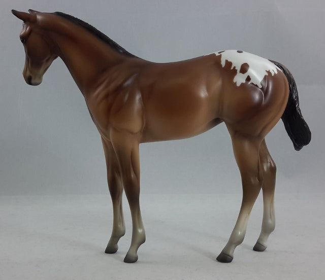 THYME - Baby Bay Appaloosa Weanling Model Horse