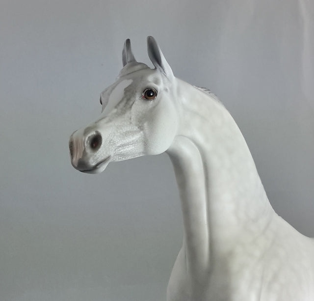 URFA BIBER - OOAK Dapple Gray Arabian*