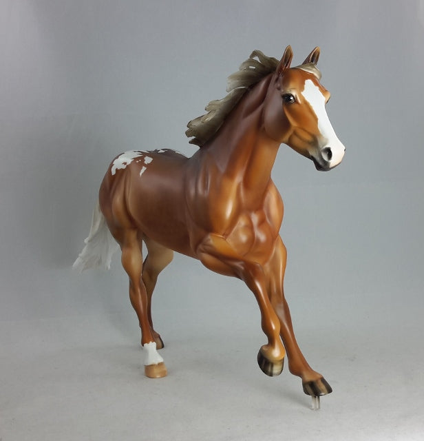 MYRRH-I-A - OOAK Chestnut Appaloosa