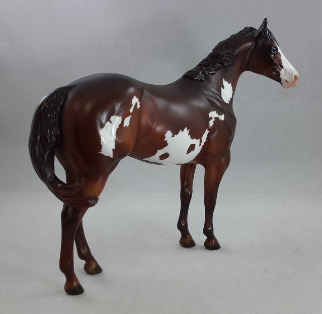MORITA - OOAK Chestnut Overo Stock Horse
