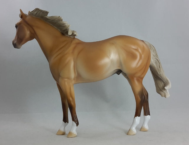 TACO - Sooty Palomino Stock Horse