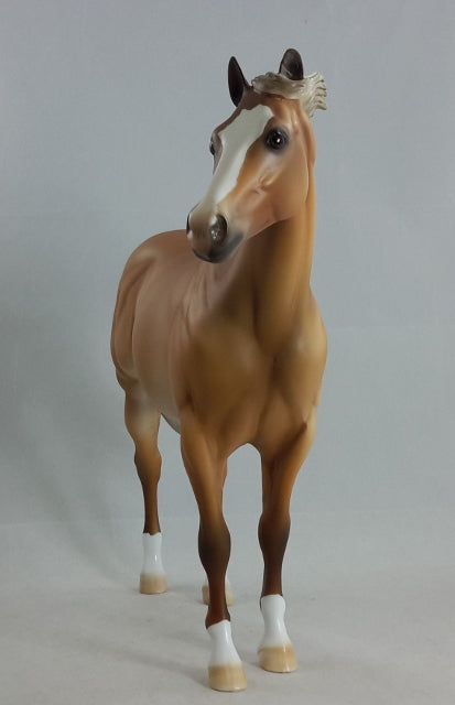 TACO - Sooty Palomino Stock Horse