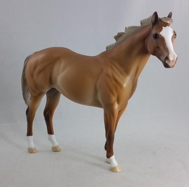 TACO - Sooty Palomino Stock Horse
